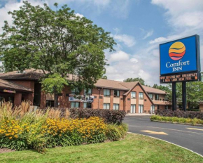 Гостиница Comfort Inn Simcoe  Симко